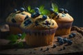 Delicious fresh blueberry muffins with mint leaves
