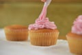 Delicious fresh cakes being decorated with buttercream icing Royalty Free Stock Photo