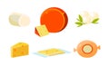 Delicious fresh cheese assortment, various types fresh cheesy products vector Illustration