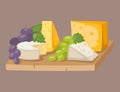 Delicious fresh cheese variety italian different dinner grape flat dairy food vector illustration.