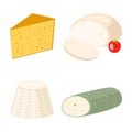 Delicious fresh cheese variety italian dinner icon flat dairy food and milk camembert piece different delicatessen gouda