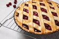 Delicious fresh cherry pie and cooling tray on light grey table, closeup Royalty Free Stock Photo