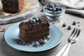 Delicious fresh chocolate cake served with blueberries Royalty Free Stock Photo