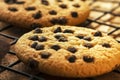 Delicious Fresh Chocolate Chip cookies with chocolate on a Cooling Rack, Close up..