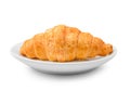 Delicious fresh croissant on a white plate isolated on white bac Royalty Free Stock Photo