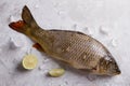 Delicious fresh fish (carp) Royalty Free Stock Photo