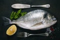 Delicious fresh fish Royalty Free Stock Photo