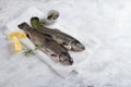 Delicious fresh fish trout Royalty Free Stock Photo