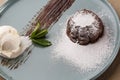 Delicious fresh fondant with hot chocolate and ice cream and mint served on plate. Lava cake recipe. Wooden background. Royalty Free Stock Photo