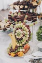 Delicious fresh fruits arranged in bird shape on table at wedding reception in restaurant. Luxury catering service. Wedding Royalty Free Stock Photo