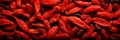 Delicious fresh goji berries background banner for healthy eating and nutrition concept