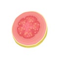 Delicious and fresh guava. Half of tasty tropical fruit. Natural and healthy food. Flat vector element for juice or