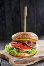 Delicious fresh homemade burger with cheese, tomatoes, salad and onions on a wooden table, close up Royalty Free Stock Photo