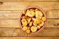 Delicious fresh lactarius mushrooms straight from the forest in a brown bowl