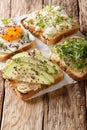 Delicious fresh open sandwiches with hummus, avocado, feta cheese, microgreen and egg closeup. vertical