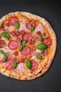 Delicious fresh oven baked pizza with salami, meat, cheese, tomatoes Royalty Free Stock Photo