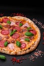 Delicious fresh oven baked pizza with salami, meat, cheese, tomatoes Royalty Free Stock Photo
