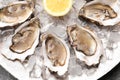 Delicious fresh oysters with lemon and ice on table, top view Royalty Free Stock Photo