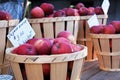 Fresh picked red ripe apples close-up in baskets Royalty Free Stock Photo