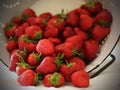 Fresh picked red ripe strawberries close-up in a colander Royalty Free Stock Photo