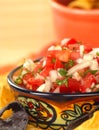 Delicious fresh pico de gallo salsa and chips Royalty Free Stock Photo