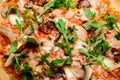 Delicious fresh pizza with parmesan cheese, tomato sauce, sun dried tomatoes, chicken meat, champignons and rucola Royalty Free Stock Photo