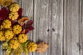 Delicious, fresh pumpkin cookies, colorful maple leaves on wooden background. Free space for your text. Royalty Free Stock Photo