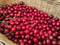 Delicious fresh red sweet cherries in basket. small farmers market detail cherries Royalty Free Stock Photo