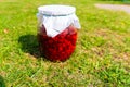 Delicious fresh ripe raspberries in glass jar on a grass background. Nature Royalty Free Stock Photo