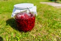 Delicious fresh ripe raspberries in glass jar on a grass background. Nature Royalty Free Stock Photo