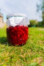 Delicious fresh ripe raspberries in glass jar on a grass background. Nature Royalty Free Stock Photo