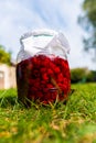 Delicious fresh ripe raspberries in glass jar on a grass background. Nature Royalty Free Stock Photo