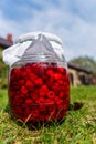 Delicious fresh ripe raspberries in glass jar on a grass background. Nature Royalty Free Stock Photo