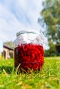 Delicious fresh ripe raspberries in glass jar on a grass background. Nature Royalty Free Stock Photo