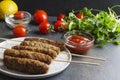 Delicious fresh roasted lule kebab,sause,tomates,cilantro,spices on dark table Royalty Free Stock Photo