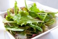 Delicious fresh salad Royalty Free Stock Photo