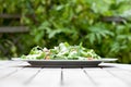 Delicious fresh Salad outside Royalty Free Stock Photo