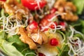 Delicious fresh salad with walnuts, closeup Royalty Free Stock Photo