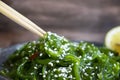 Delicious fresh seaweed salad   vegan   marinated  sesame seeds Royalty Free Stock Photo