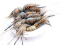 Delicious fresh shrimp seafood isolated in white