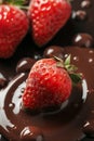 Delicious fresh strawberry dipped in rich, creamy chocolate Royalty Free Stock Photo