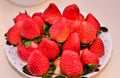 Delicious fresh strawberry dish Royalty Free Stock Photo