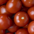 Delicious fresh tomatoes close up, Royalty Free Stock Photo
