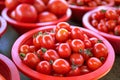 Delicious fresh tomatoes fruit vegetable food in red plastic basket at tradition market afternoon, Seoul, South Korea, harvest Royalty Free Stock Photo