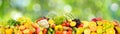 Delicious fresh vegetables, fruits, vegetables on blurred green Royalty Free Stock Photo