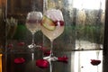 Close up drink shot of a delicious fresh yellow red cocktail with ice, a cucumber slice in a transparent wine glass standing on a Royalty Free Stock Photo