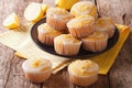 Delicious freshly baked homemade lemon muffins zest sprinkles cl Royalty Free Stock Photo