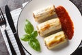 Delicious freshly baked leek stuffed with beef, rice, cheese and vegetables served with tomato sauce close-up in a plate. Royalty Free Stock Photo