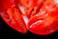 A delicious freshly steamed lobster close up