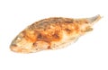 Fried crucian carp isolate